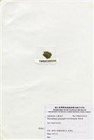 藏品(網球藻)的圖片